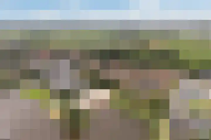 Doniapark 16 Langweer thumbnail 51