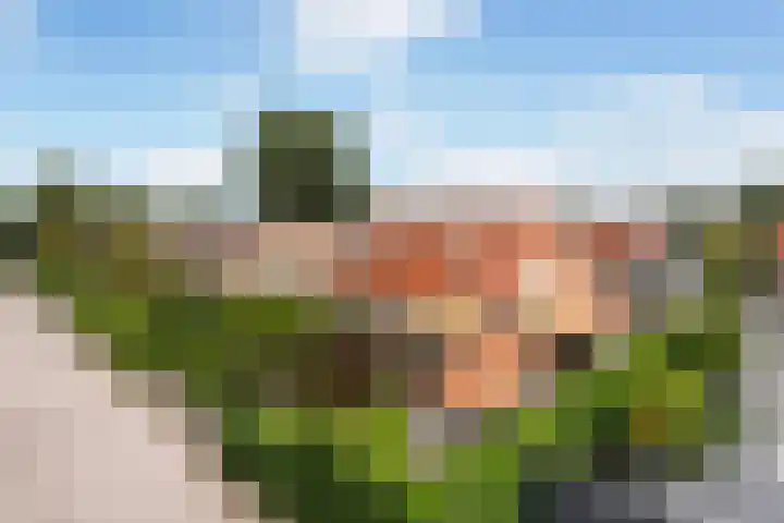 Doniapark 16 Langweer thumbnail 58