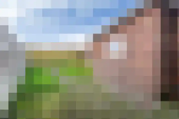 Doniastrjitte 17 Woudsend thumbnail 14