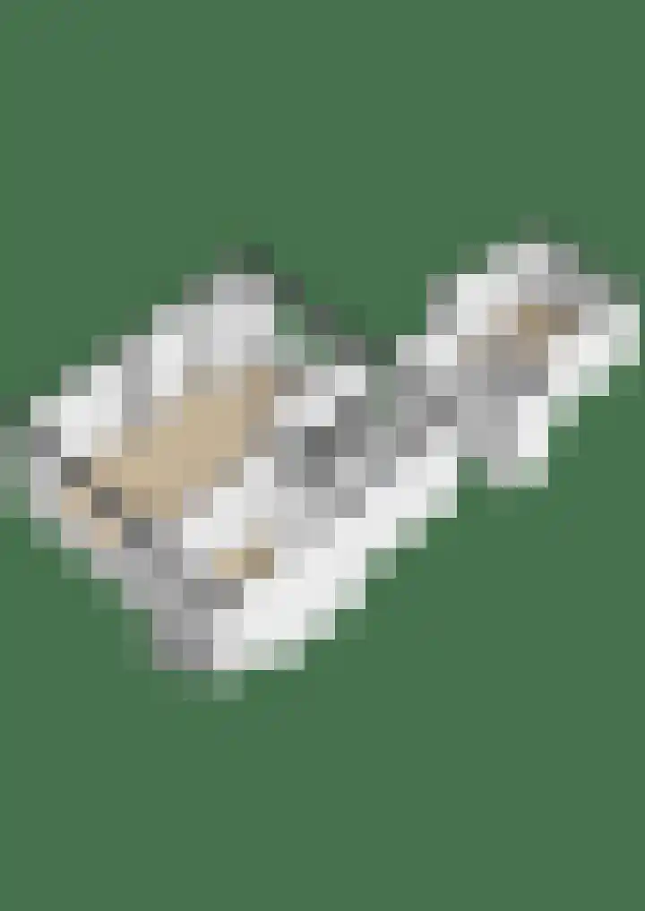 Doniastrjitte 17 Woudsend thumbnail 26
