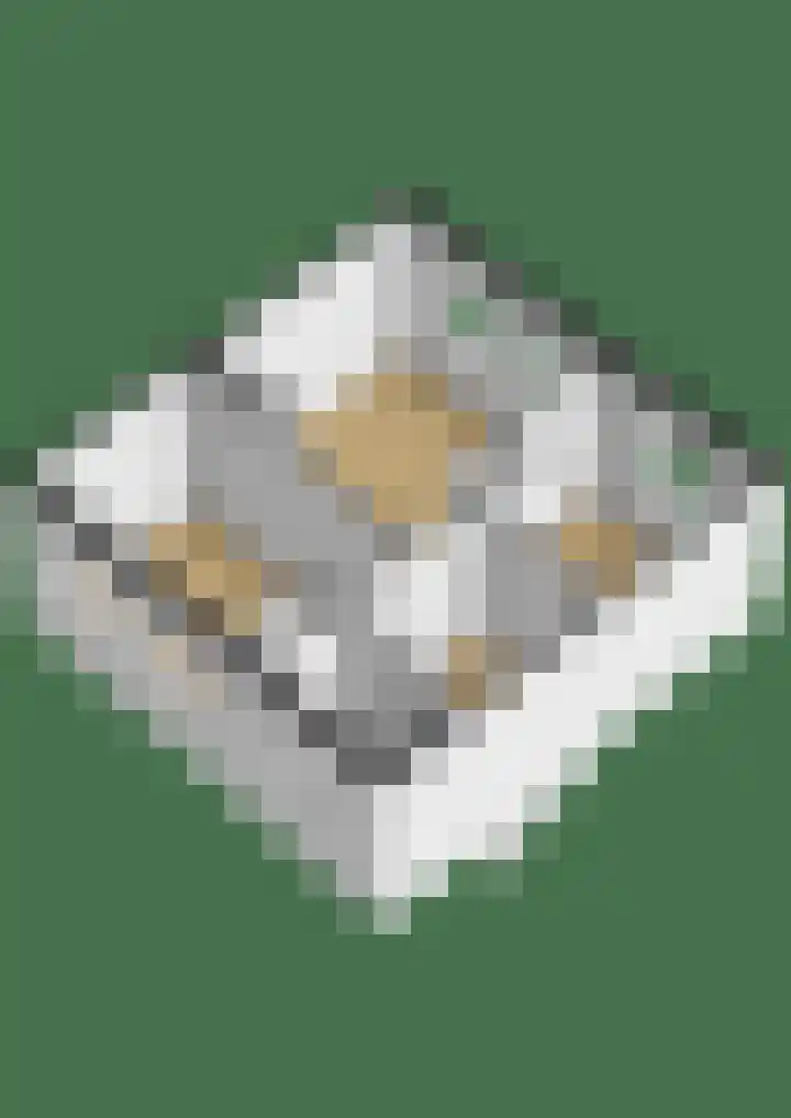 Doniastrjitte 17 Woudsend thumbnail 27