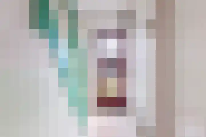 Doniastrjitte 17 Woudsend thumbnail 5