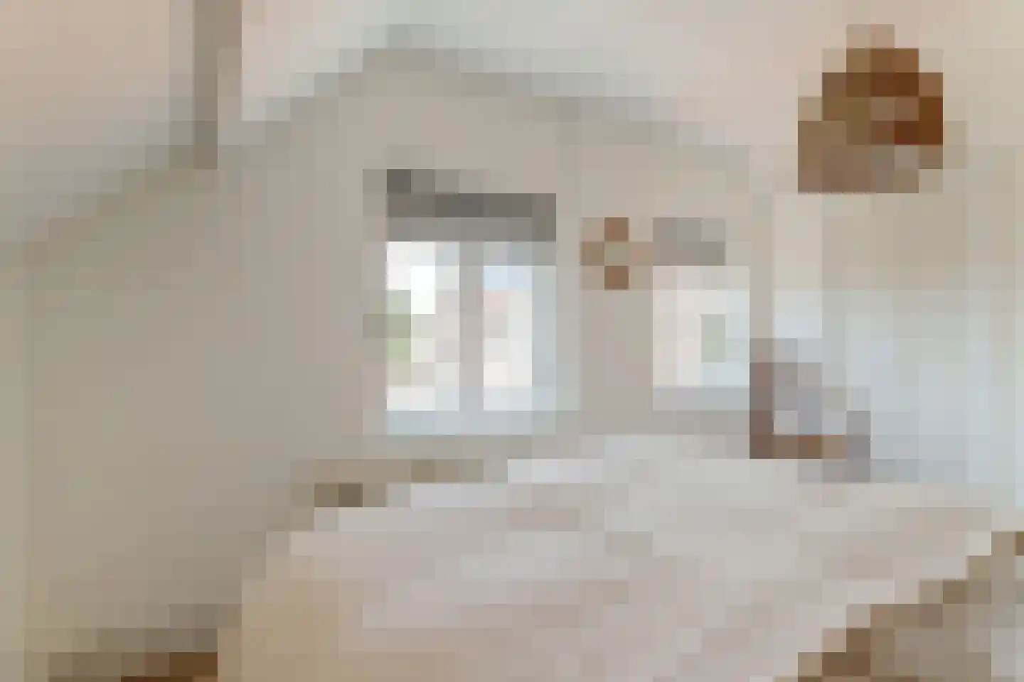 Doniastrjitte 25 Woudsend thumbnail 18