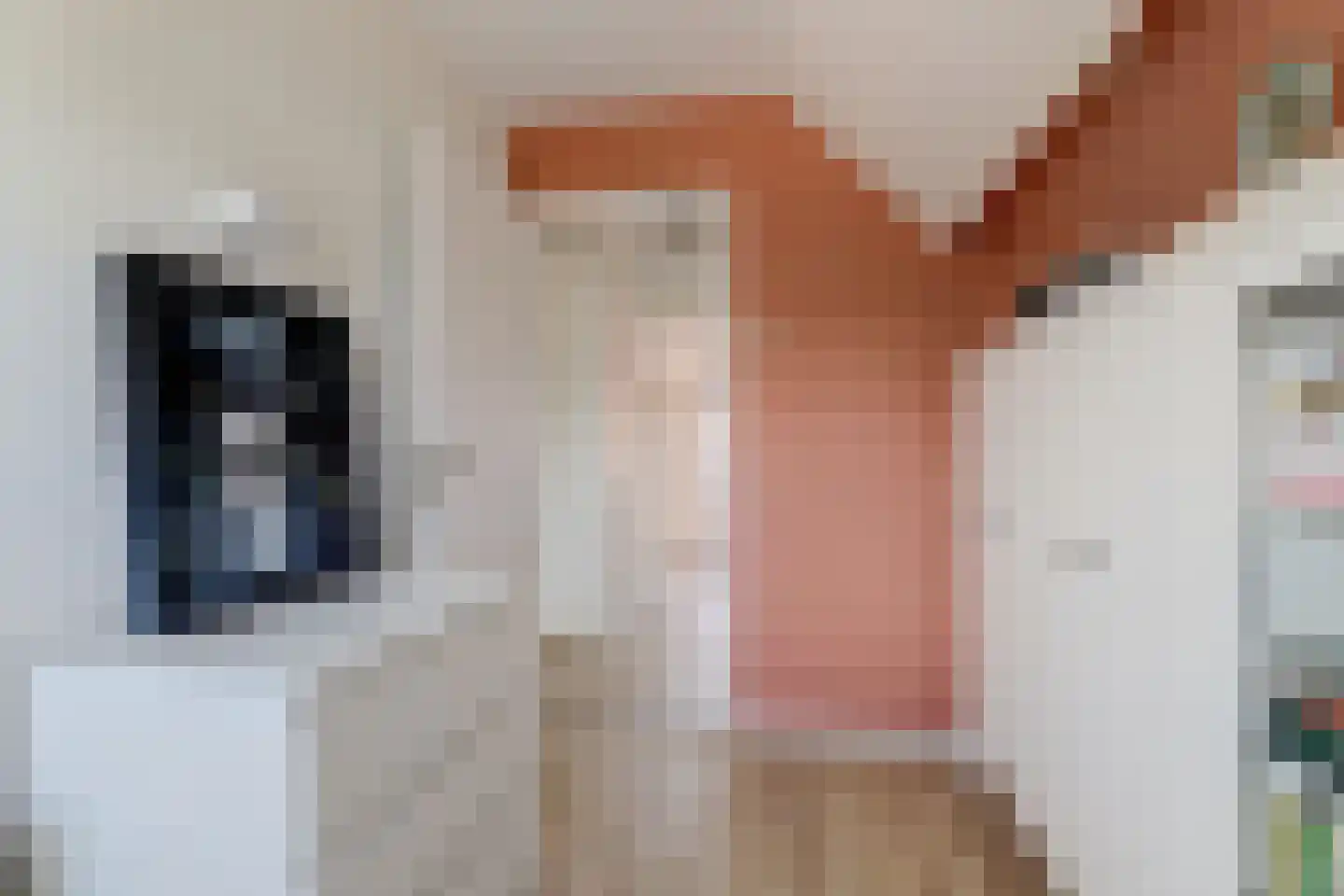Doniastrjitte 25 Woudsend thumbnail 22