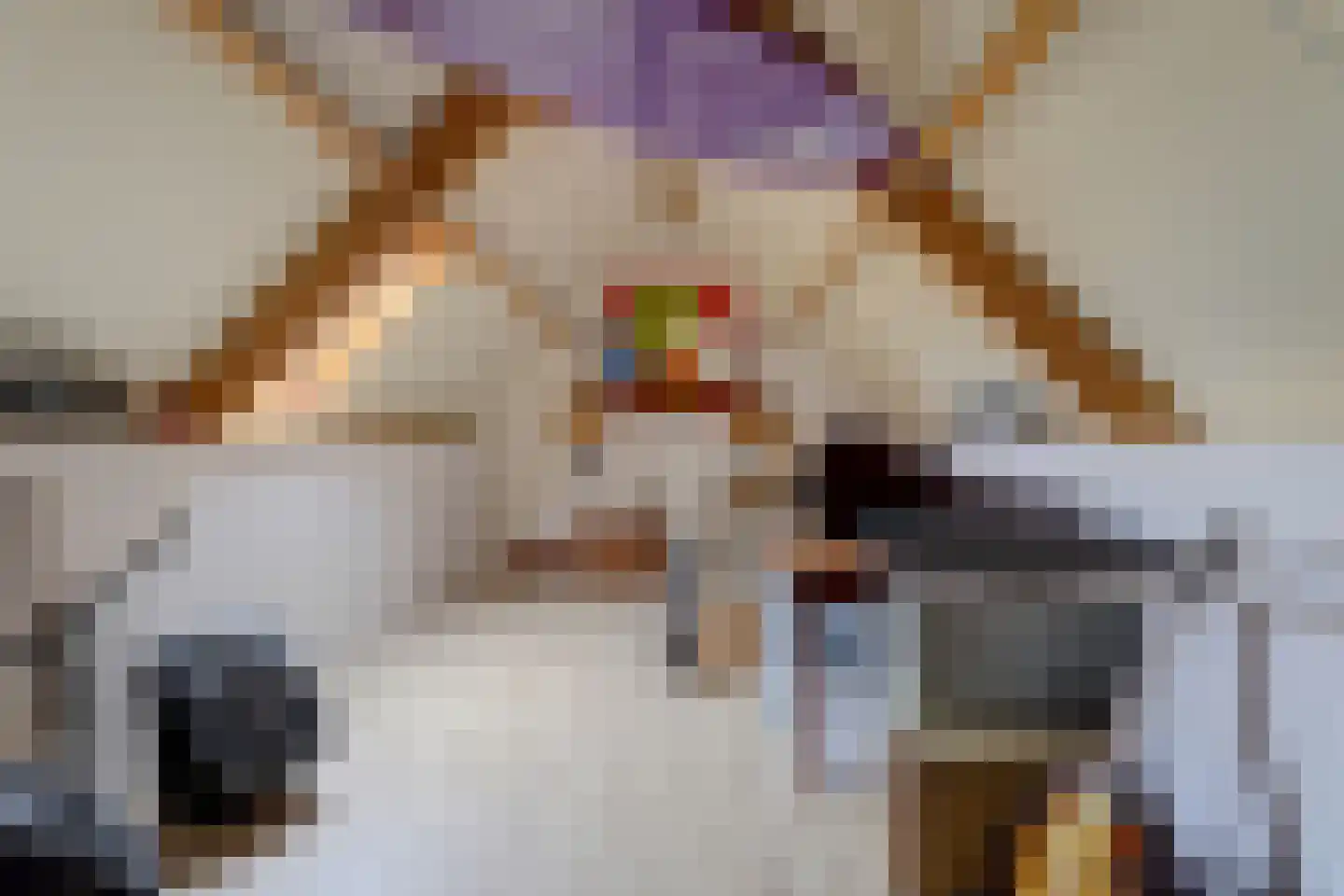 Doniastrjitte 25 Woudsend thumbnail 25