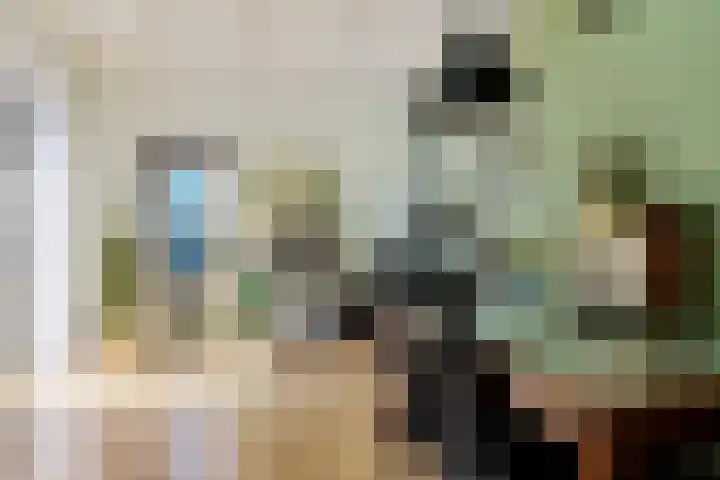Doniaweg 11 Hallum thumbnail 10