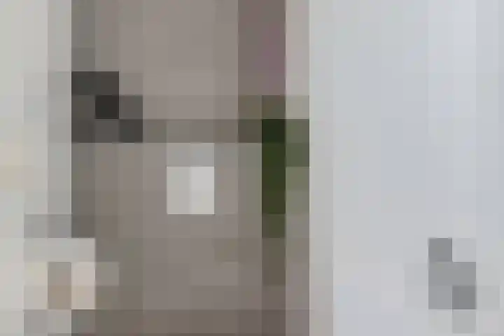 Doniaweg 11 Hallum thumbnail 17