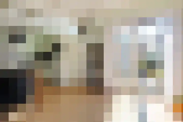 Doniaweg 11 Hallum foto 2