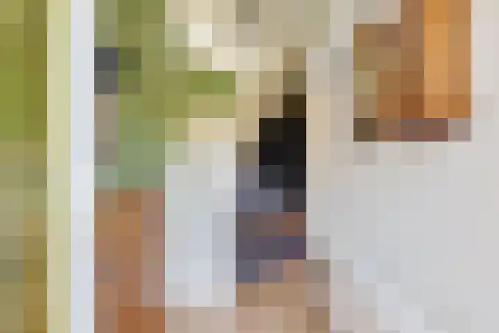 Doniaweg 11 Hallum thumbnail 23