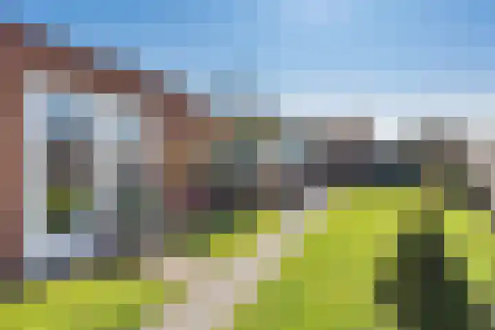 Doniaweg 11 Hallum thumbnail 32