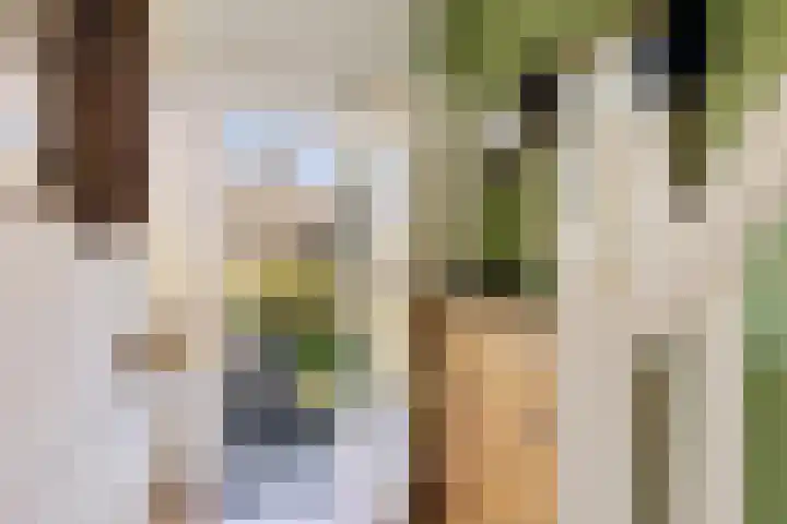 Doniaweg 11 Hallum thumbnail 4
