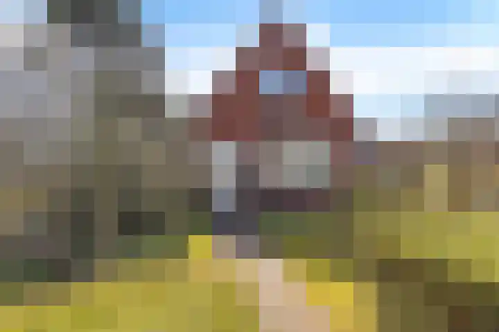 Doniaweg 11 Hallum thumbnail 40