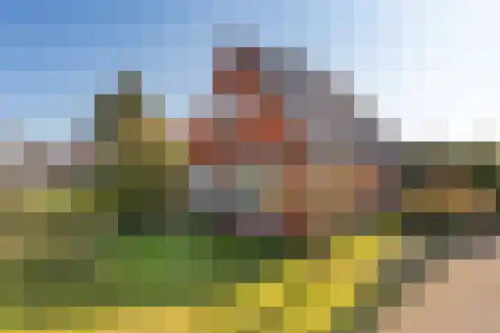 Doniaweg 11 Hallum thumbnail 41