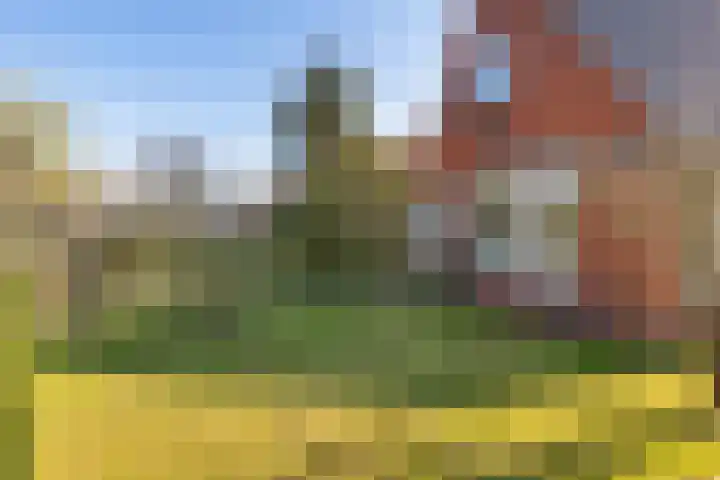Doniaweg 11 Hallum thumbnail 42