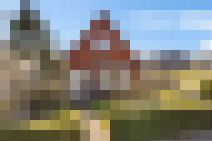 Doniaweg 11 Hallum thumbnail 43