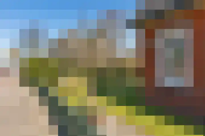 Doniaweg 11 Hallum thumbnail 44
