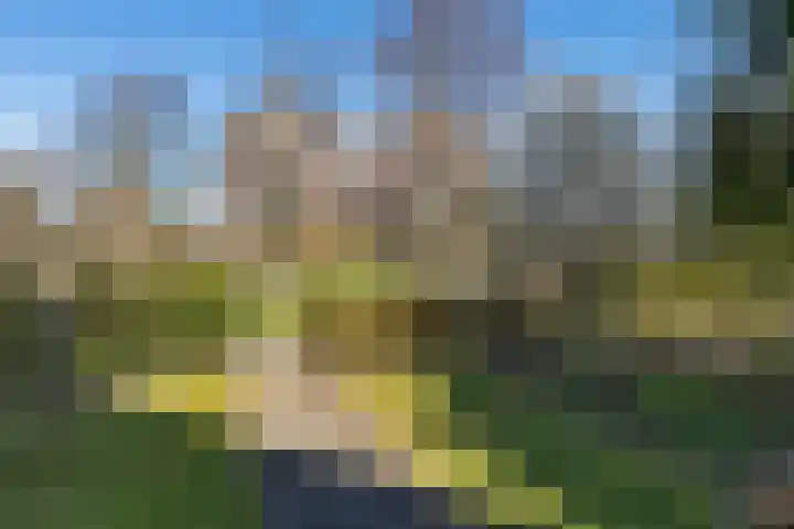 Doniaweg 11 Hallum thumbnail 45