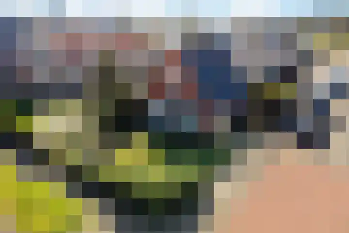 Doniaweg 11 Hallum thumbnail 46