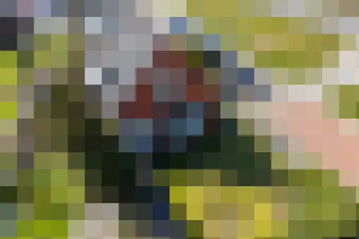 Doniaweg 11 Hallum thumbnail 47