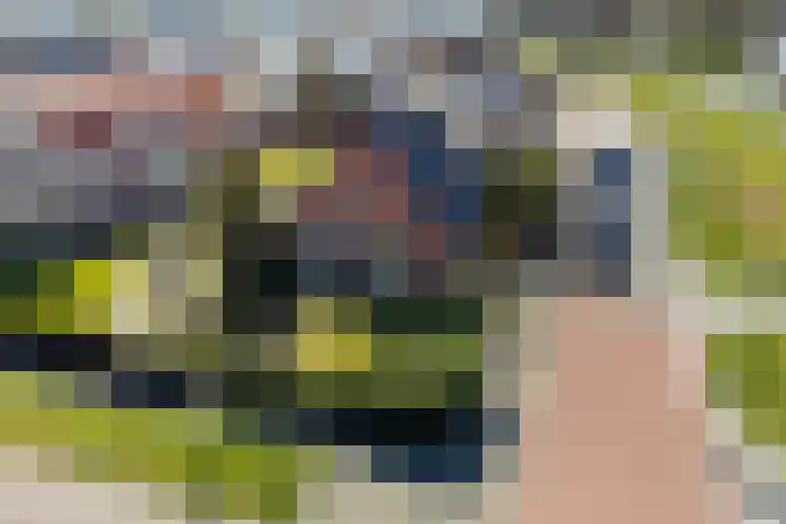Doniaweg 11 Hallum thumbnail 49