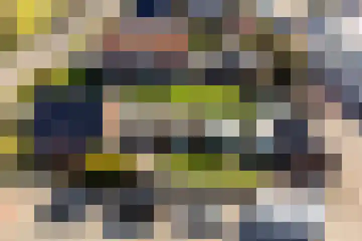 Doniaweg 11 Hallum thumbnail 52
