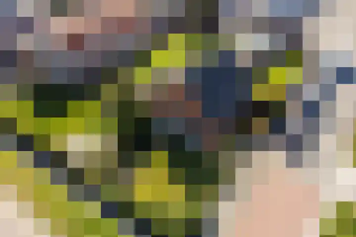 Doniaweg 11 Hallum thumbnail 53