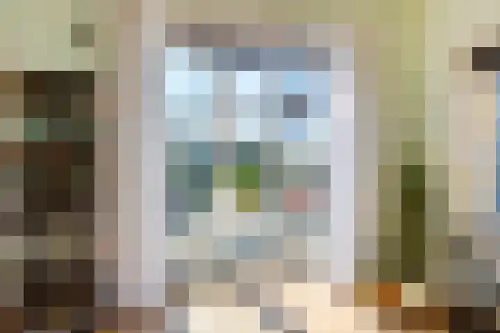 Doniaweg 11 Hallum thumbnail 8