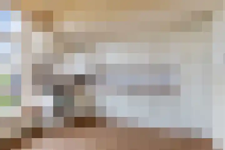 Doniaweg 14 Burgwerd thumbnail 10