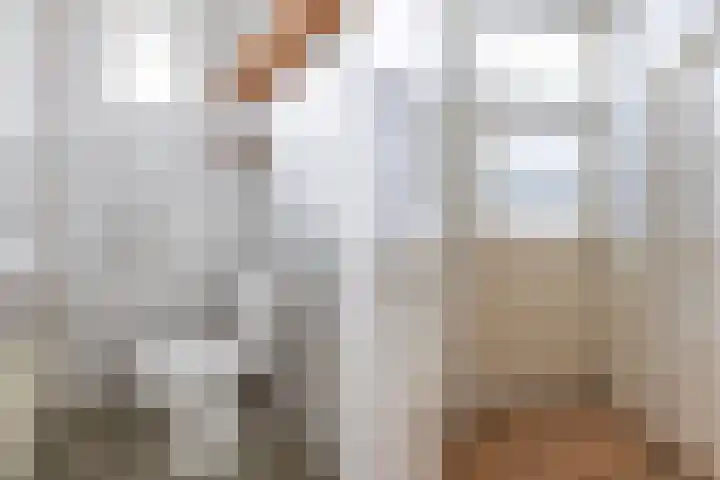 Doniaweg 14 Burgwerd thumbnail 14