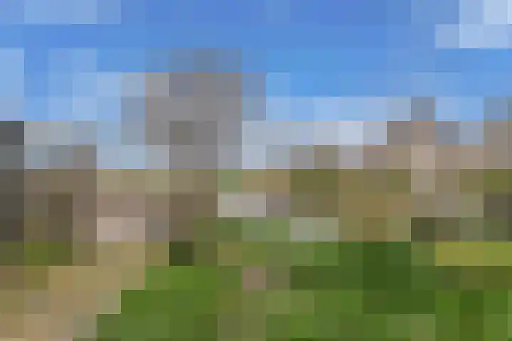 Doniaweg 14 Burgwerd thumbnail 29