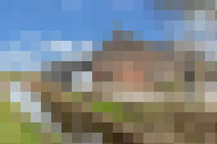 Doniaweg 14 Burgwerd foto 3