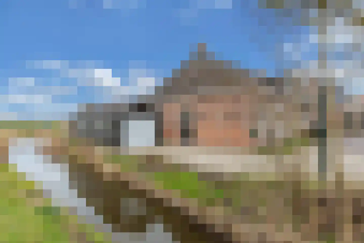 Doniaweg 14 Burgwerd foto 3