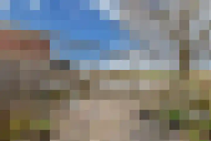 Doniaweg 14 Burgwerd thumbnail 30
