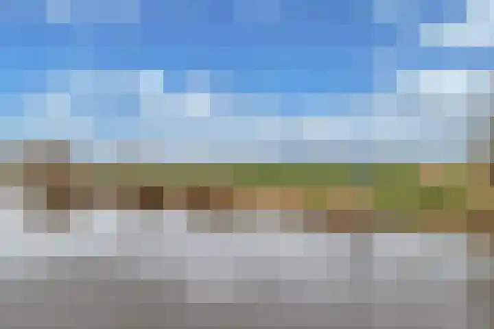 Doniaweg 14 Burgwerd thumbnail 31