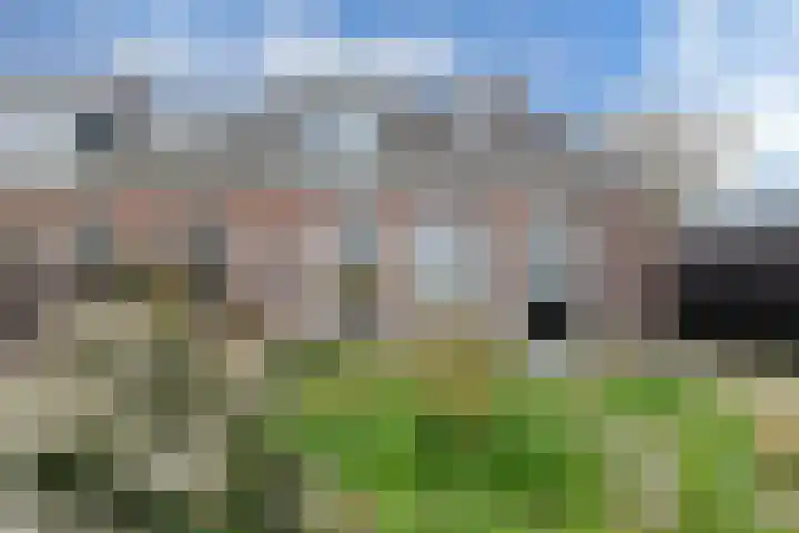 Doniaweg 14 Burgwerd thumbnail 34