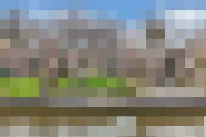 Doniaweg 14 Burgwerd thumbnail 37