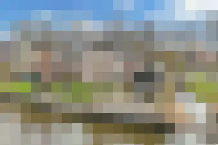 Doniaweg 14 Burgwerd thumbnail 38