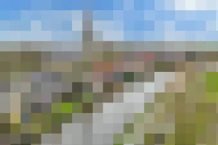 Doniaweg 14 Burgwerd thumbnail 39