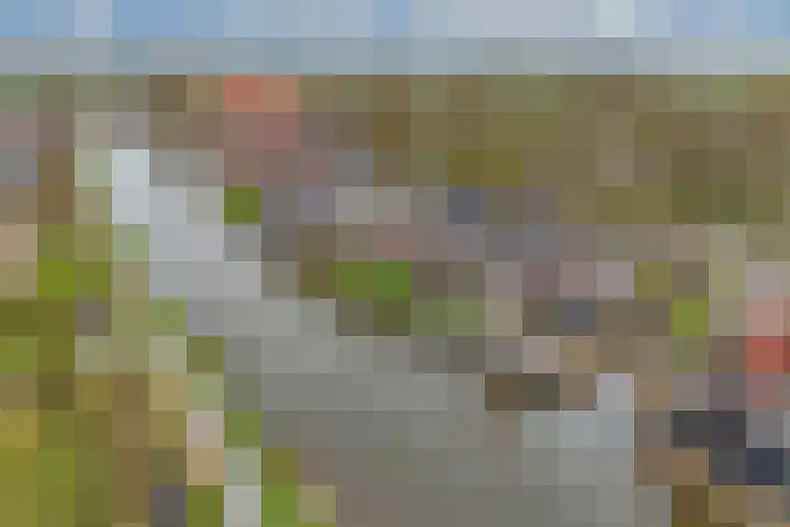 Doniaweg 14 Burgwerd thumbnail 40