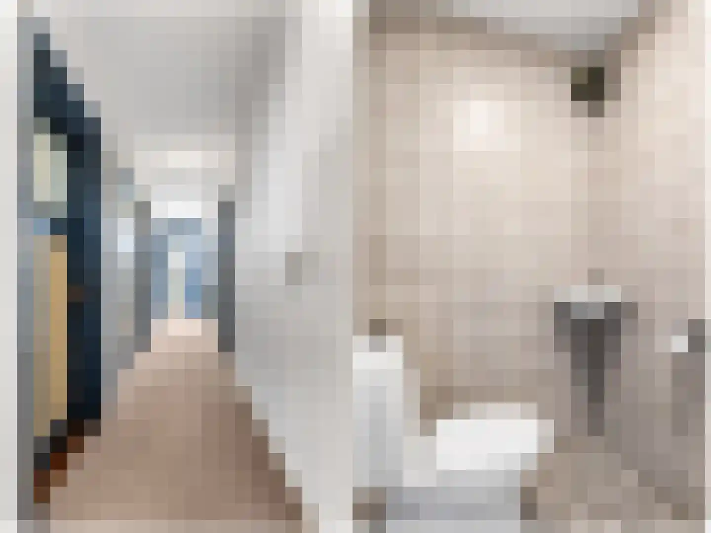 Doniaweg 25 Burgwerd thumbnail 16