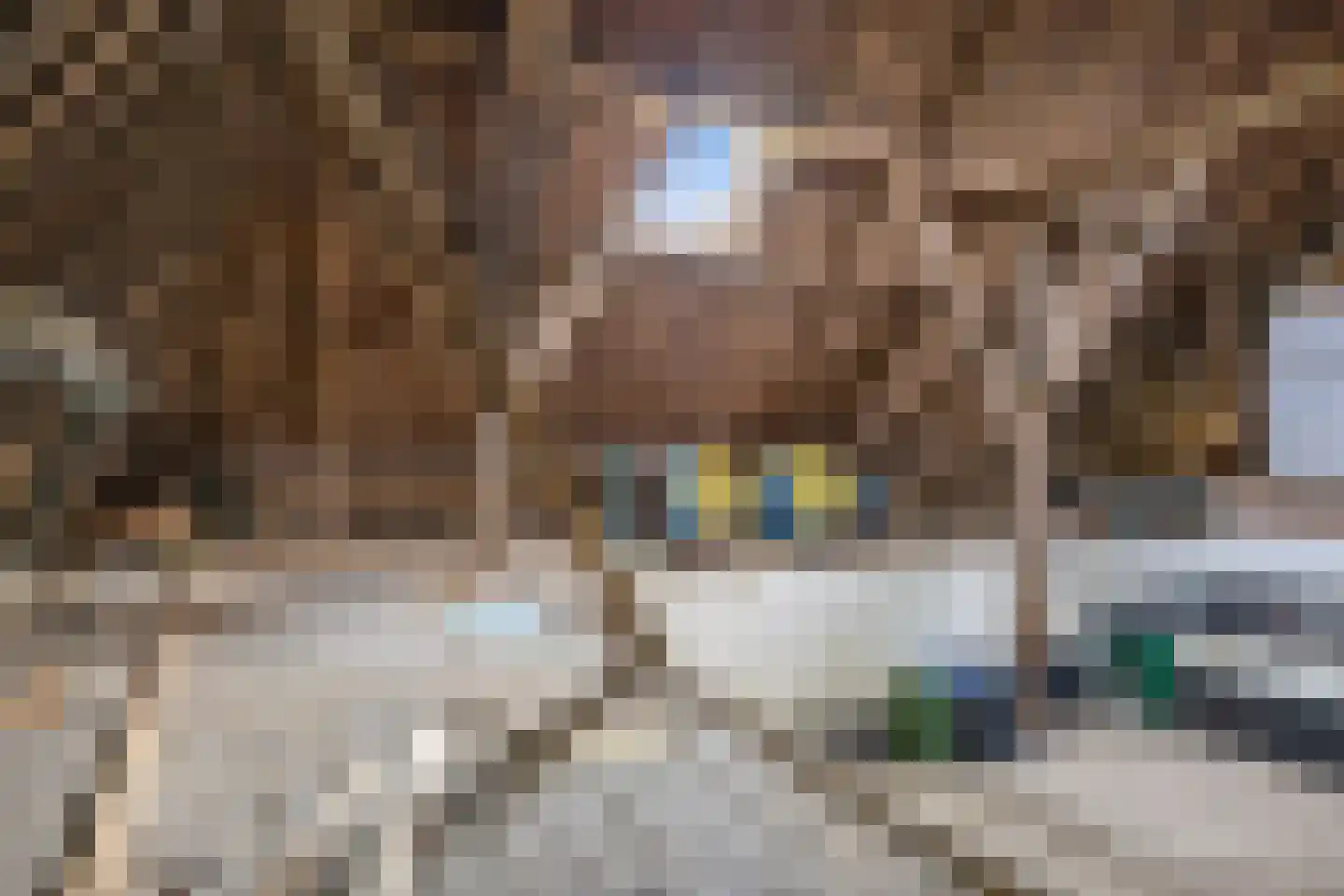 Doniaweg 25 Burgwerd thumbnail 32