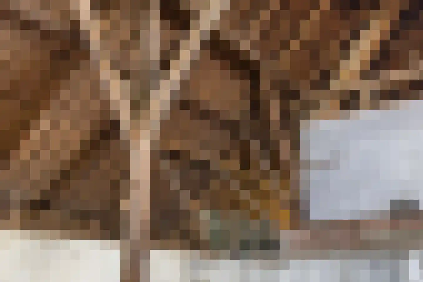 Doniaweg 25 Burgwerd thumbnail 33