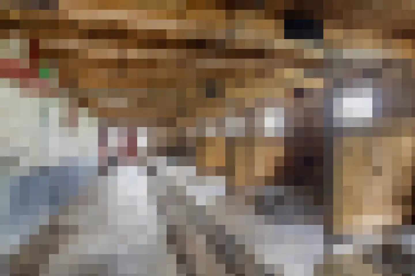 Doniaweg 25 Burgwerd thumbnail 36