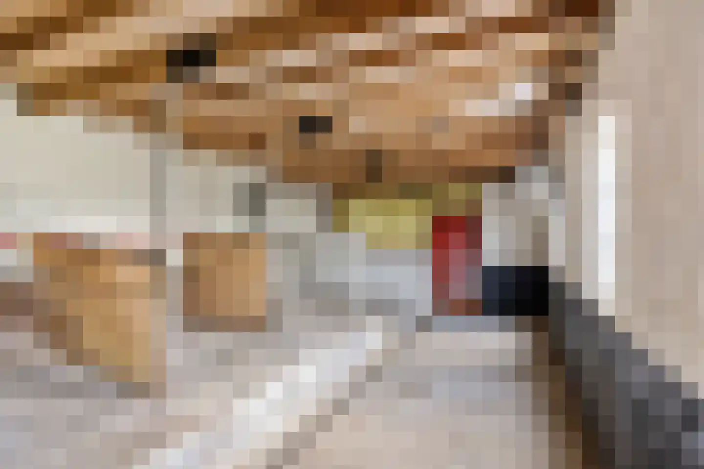 Doniaweg 25 Burgwerd thumbnail 37