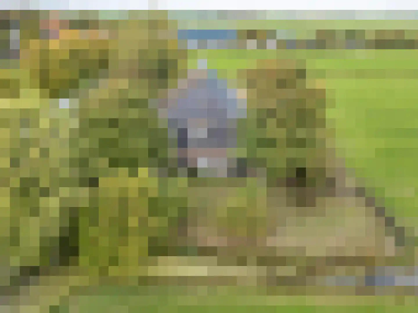 Doniaweg 25 Burgwerd thumbnail 47