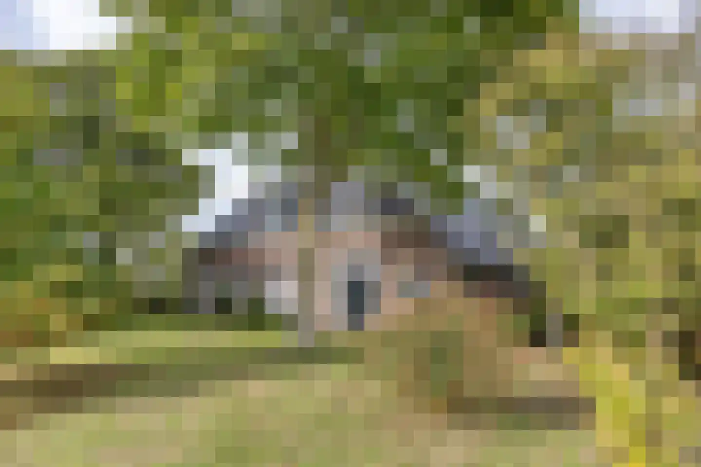 Doniaweg 25 Burgwerd thumbnail 5