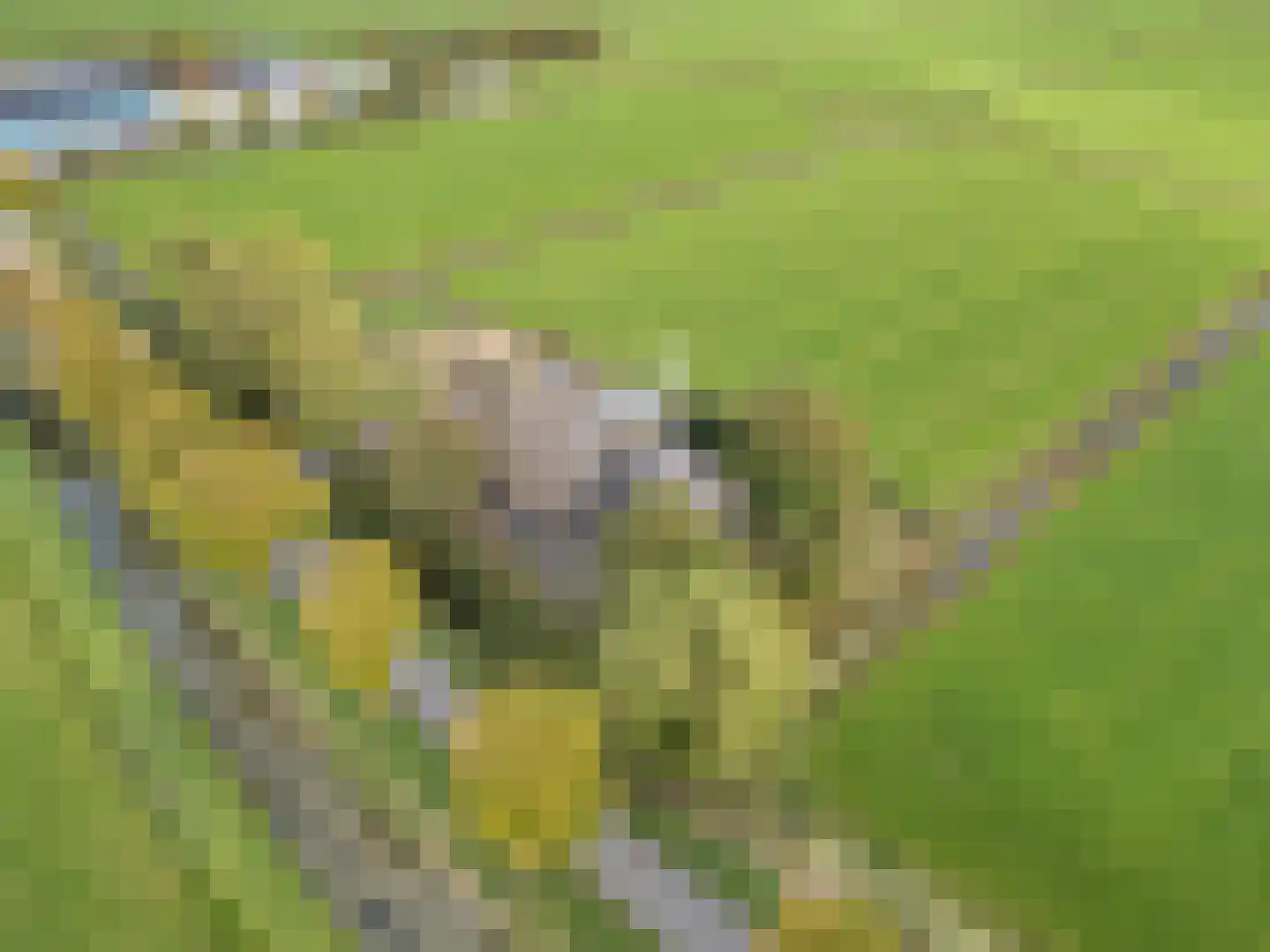 Doniaweg 25 Burgwerd thumbnail 50