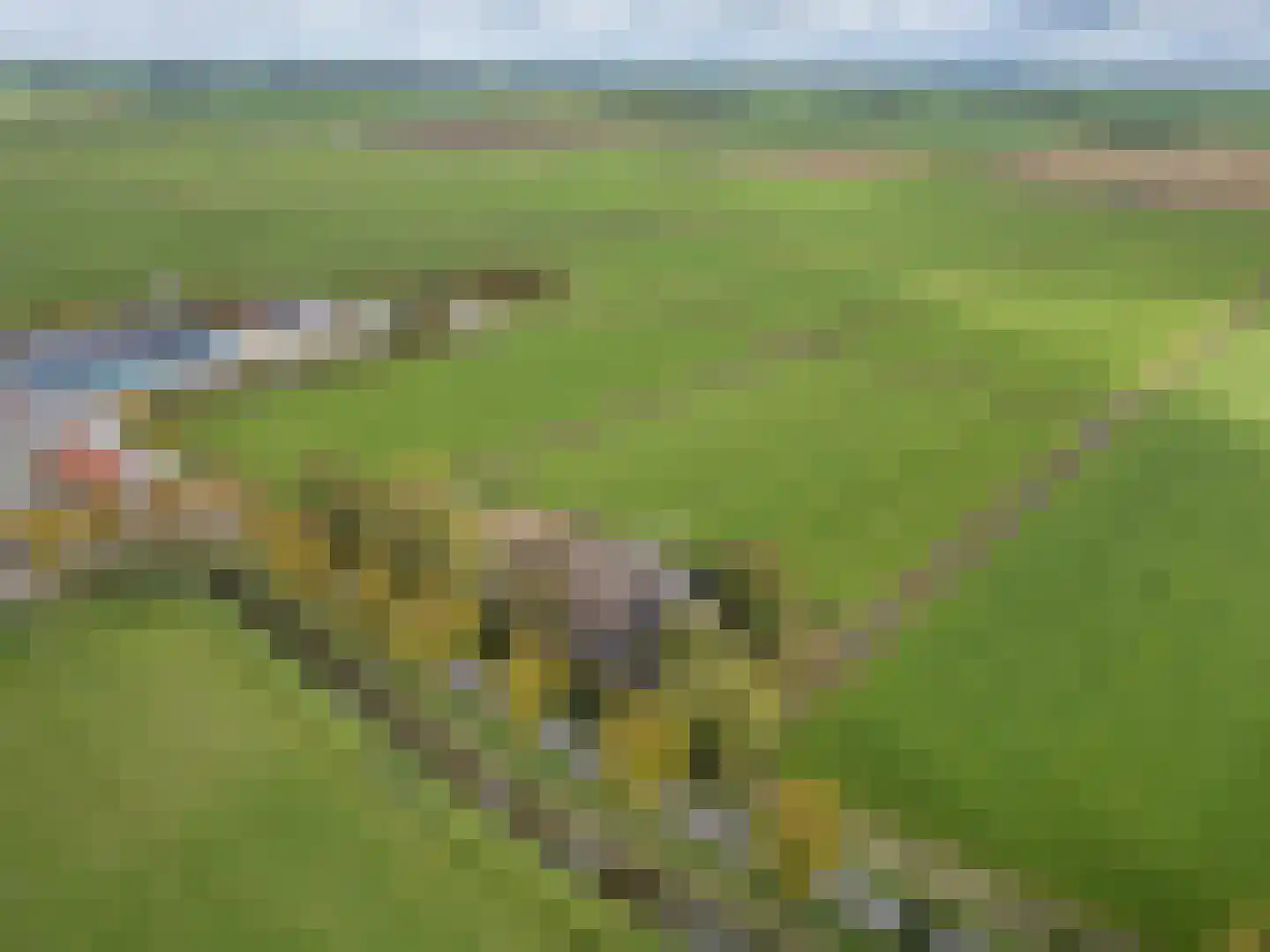 Doniaweg 25 Burgwerd thumbnail 51