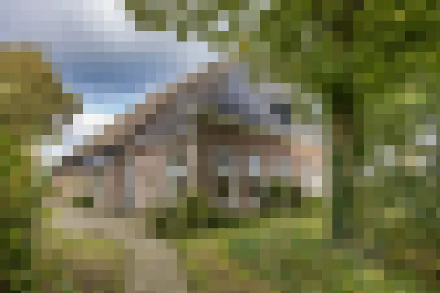 Doniaweg 25 Burgwerd thumbnail 6