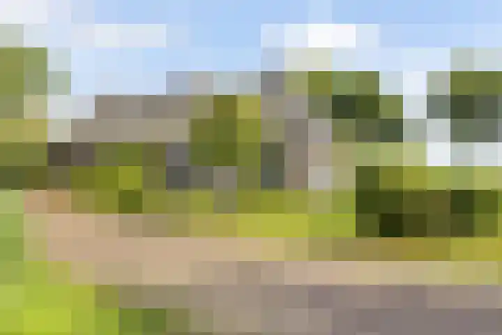 Doniaweg 61 Hallum